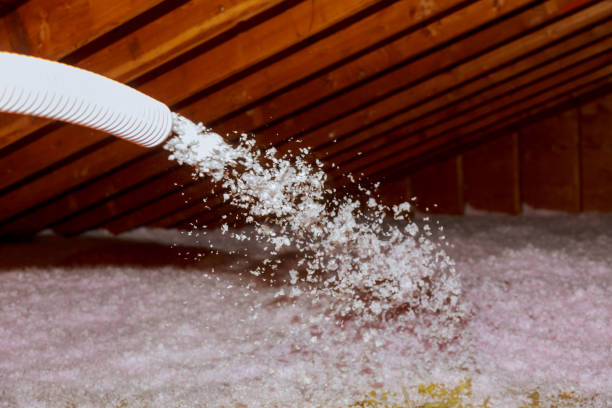 Best Wall Insulation Contractor  in Athens, AL