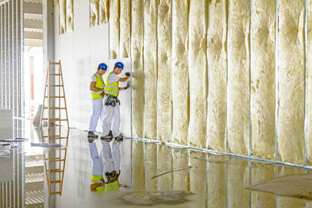 Best Garage Insulation Installation  in Athens, AL